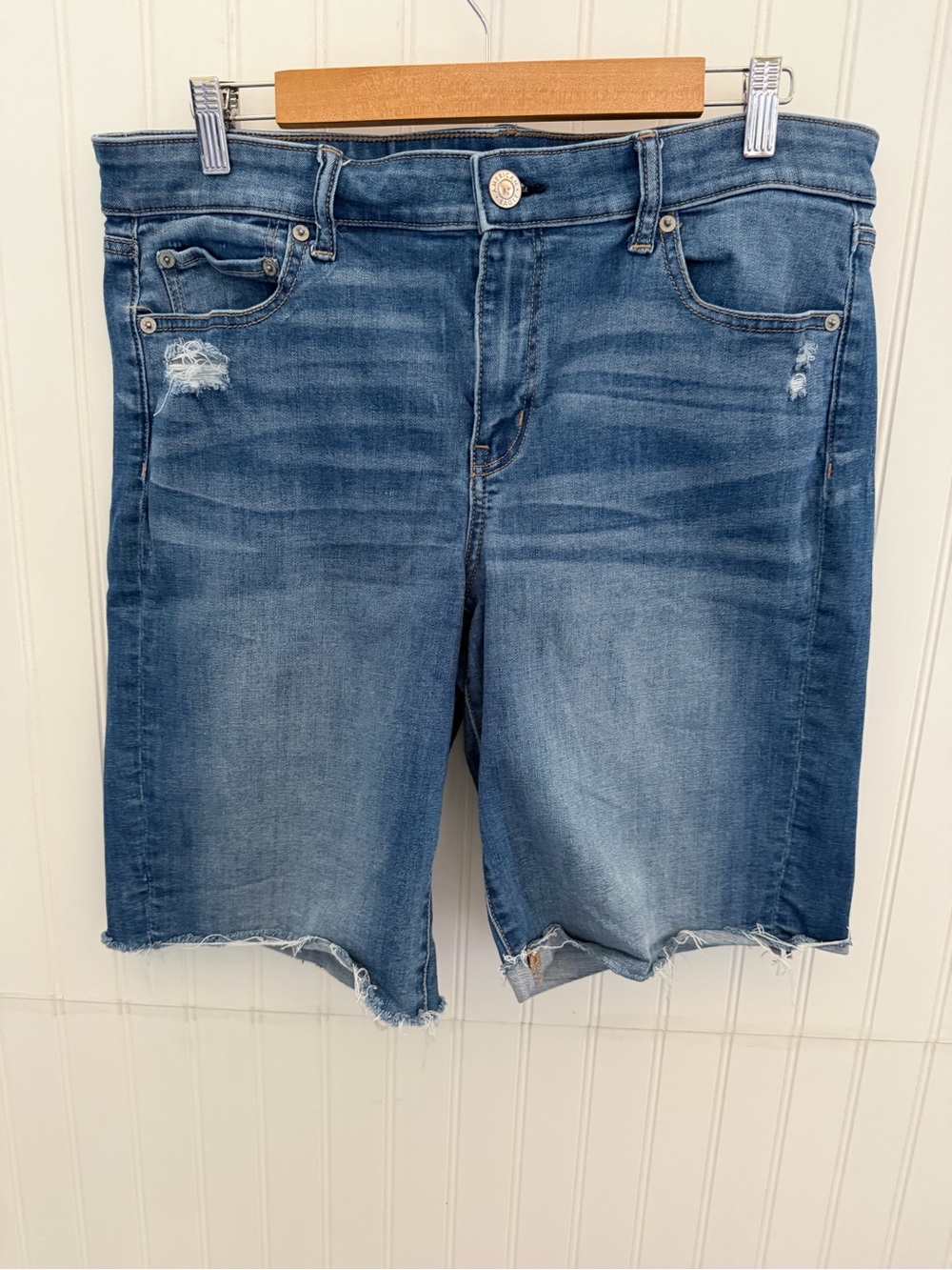 American Eagle Outfitters Light Blue Denim Shorts